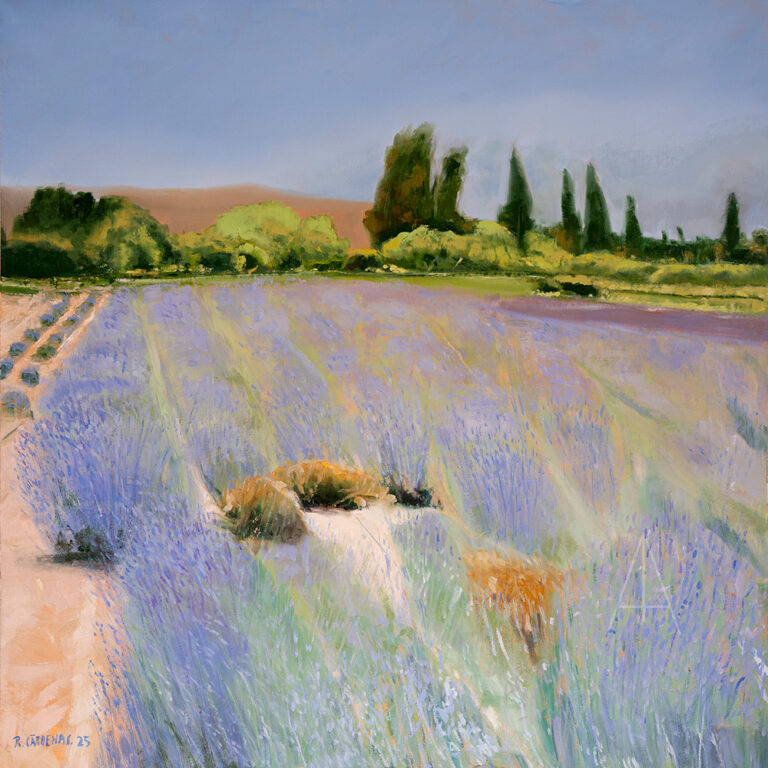 Campo de lavandas