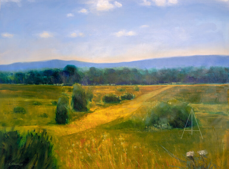 Paisaje al interior de la costa
